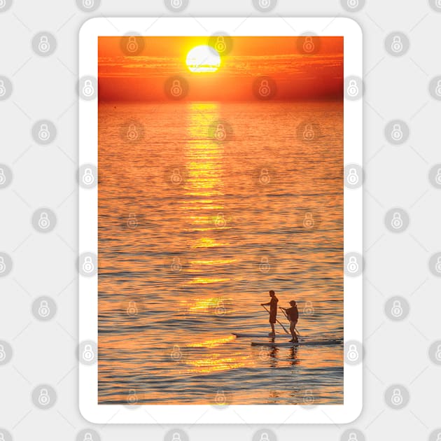 Long Boards at Sunset Sticker by Imagery